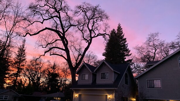 A residential area with houses and trees during sunset. - Your own modern treehouse overlooking Bidwell Park (Chico)