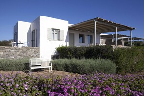Exterior - An oasis for 22 people (Paros)