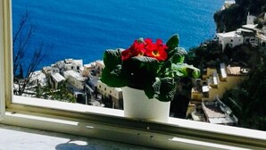 A potted plant with red flowers on a windowsill overlooking a coastal town and the sea.