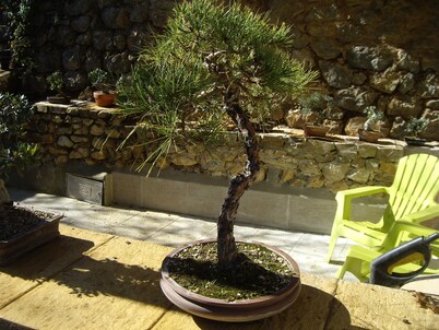 Casitapados house for two, between mountains in Sierra Mágina with private swimming pool 