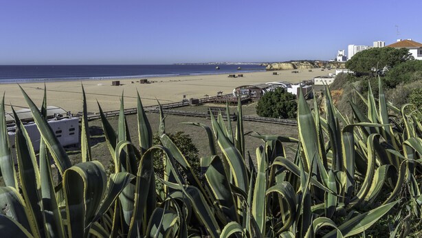 A coastal view with a beach, a clear sky, and some buildings in the distance. - FLH Praia da Rocha Spacious Flat (Portimão)