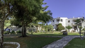 Um pátio com uma árvore grande, um caminho de pedra e um edifício branco com varandas.
