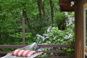 Property grounds - Lindal cedar home located next to Dupont State Recreational Forest. (Cedar Mountain)