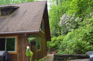 Exterior - Lindal cedar home located next to Dupont State Recreational Forest. (Cedar Mountain)