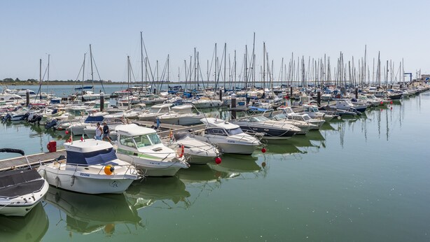Un port de plaisance où de nombreux bateaux sont amarrés dans des eaux calmes.