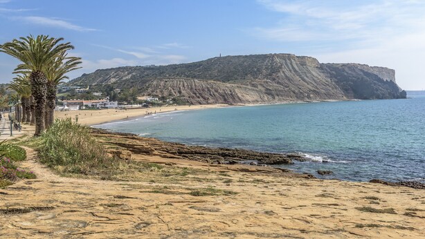 A coastal landscape with a sandy beach, a palm tree, and a rocky cliff.