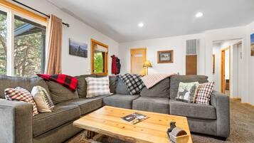 Smart TV, fireplace, books