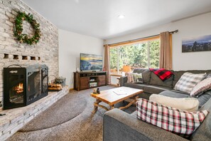 Smart TV, chimenea y libros
