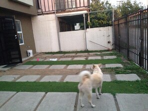 Property grounds - Papas & beer NEW HOME (Centro Playas)