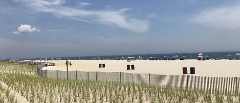 Plage, chaises longues