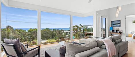 Televisión, chimenea y reproductor de DVD