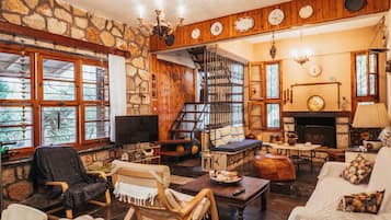 Smart TV, fireplace, books