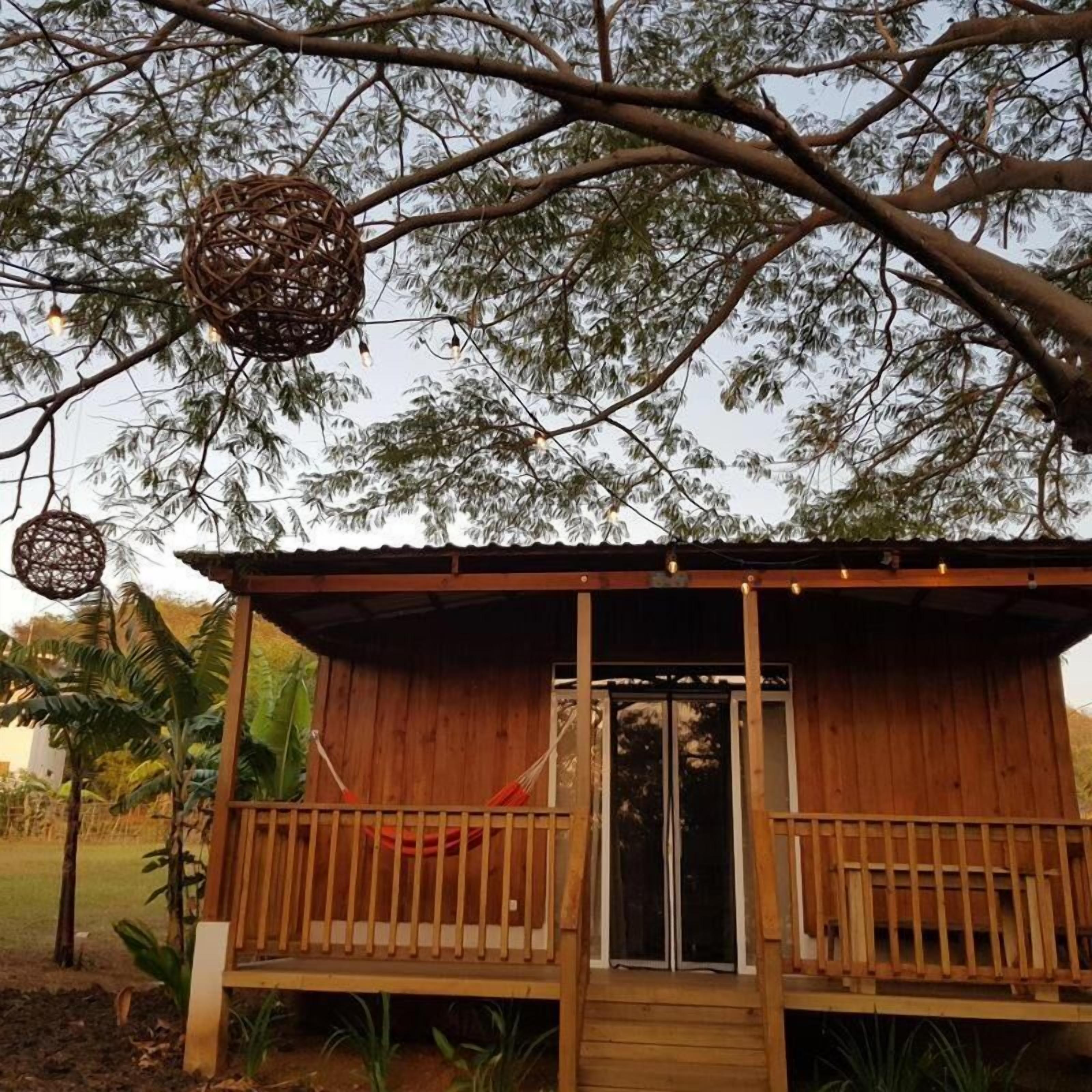 A wooden cabin with a porch, a hammock, and a large tree in the background.