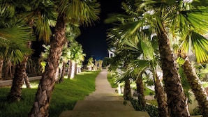 A nighttime pathway flanked by palm trees with lights, leading to a building. - Le tanger (Al Bahraoyine)