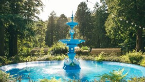 Fountain - Glen Helen Glamping (St John's)
