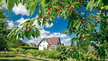 Jardines del alojamiento