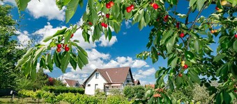 Vacation Home i Veszprém med 3 soverom som kan romme 6