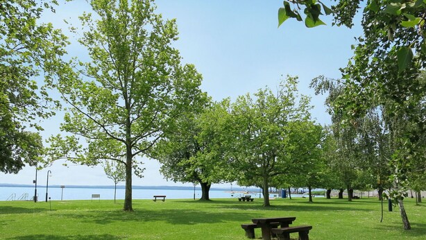 Ein Park mit Picknicktischen und Bänken, Bäumen und Blick auf ein Gewässer.