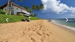 Una playa con una casa y palmeras.