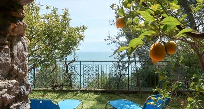 Wonderful private villa for 6 guests with WIFI, A/C, private pool, TV, patio and pets allowed