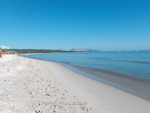 Ranta