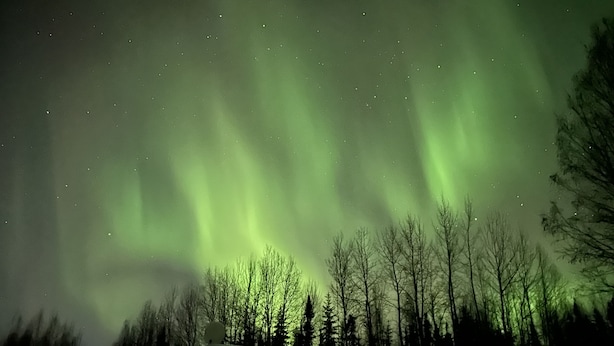 A cabin with a snow-covered roof, surrounded by trees, under a night sky with visible stars and green aurora.