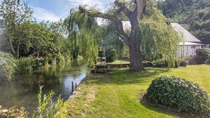 Ruhige Flusslandschaft mit einer Holzbank und einem Picknicktisch, umgeben von üppigem Grün und einem großen Baum.