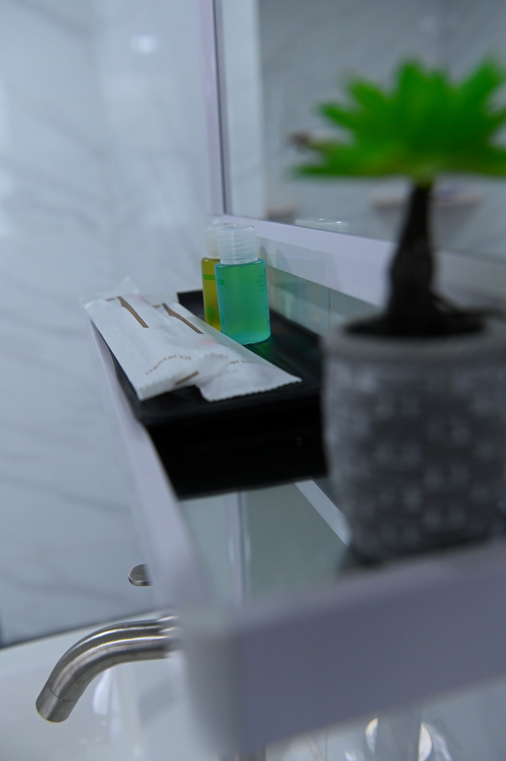 A bathroom counter with a tissue box, a green bottle, and a potted plant.