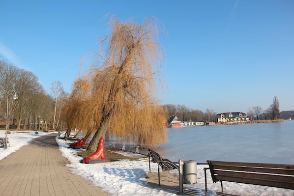 Unclassified image, 1 of 68, button