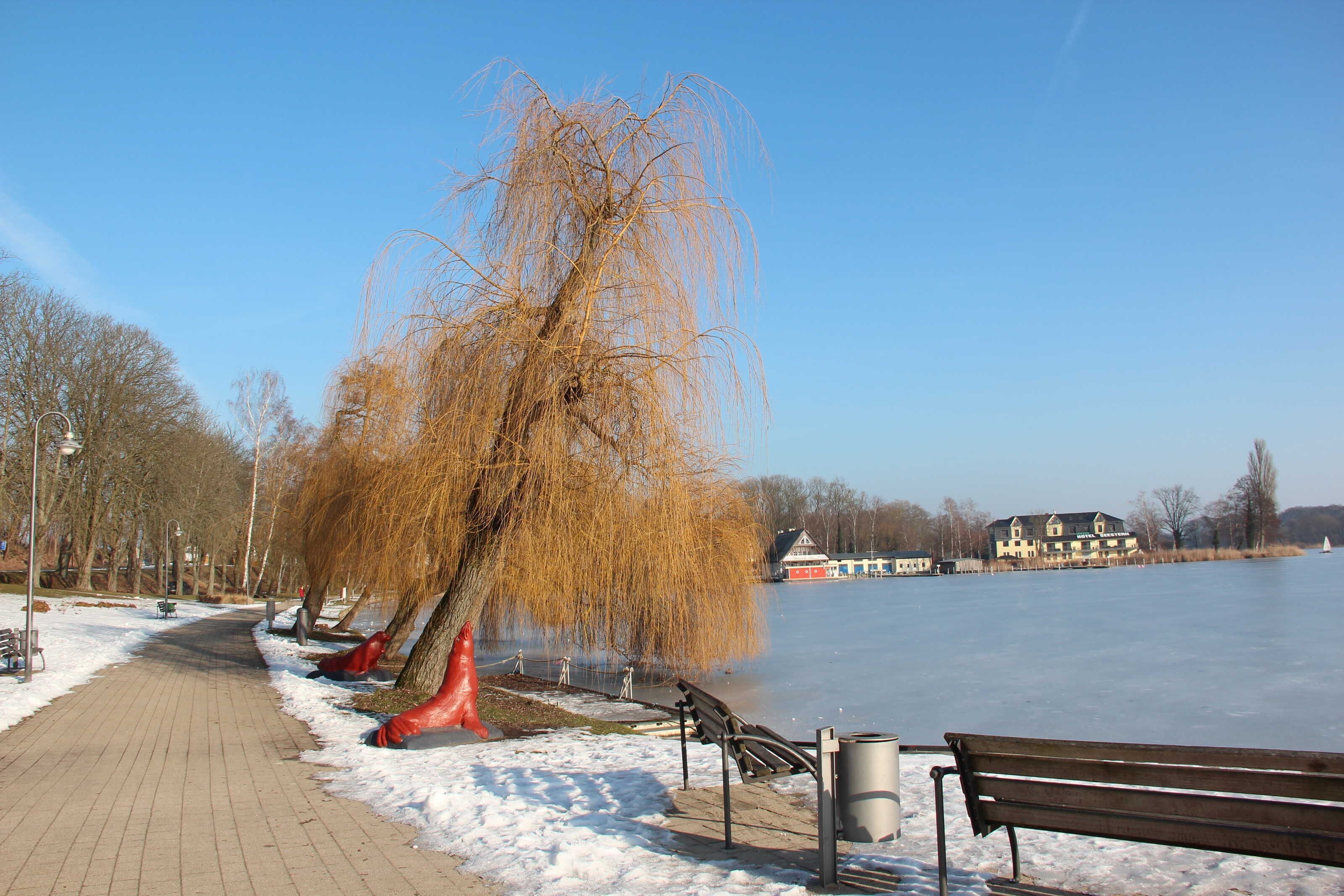 A snow-covered pathway beside a frozen lake with benches and a red sculpture.
