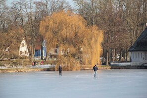 Unclassified image, 5 of 65, button