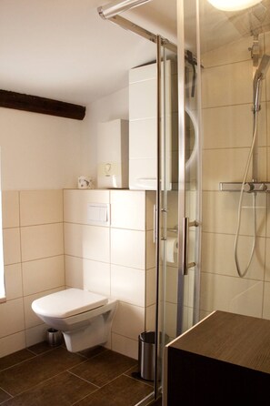 A bathroom with a toilet, a shower, and a sink. - Holiday ivy - Müritz apartment (Röbel/Müritz)