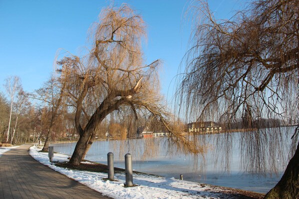 Unclassified image, 1 of 66, button