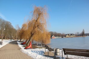 صورة غير مصنفة، 4 من 66، زرّ