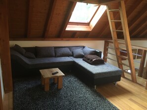 Fernseher