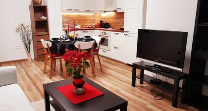 Viihtyisä moderni huoneisto