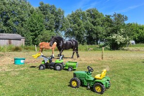 Nicht klassifiziertes Bild, 2 von 25, Schaltfläche