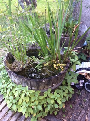 Jardin