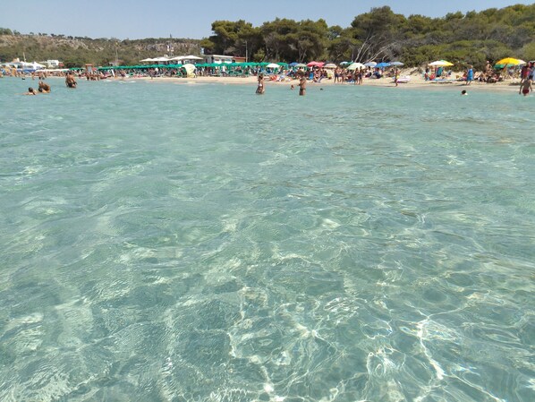 Beach - Panoramic villa on the bay in the typical Salento area (Sannicola)