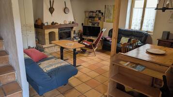 Televisión, chimenea, reproductor de DVD y libros