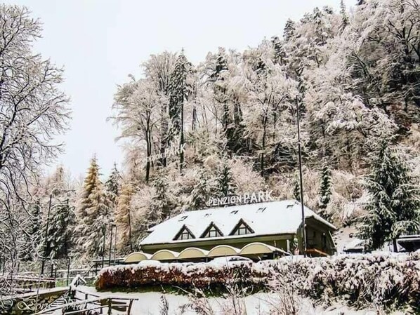 Exterior - Penzion Park (Lasko)