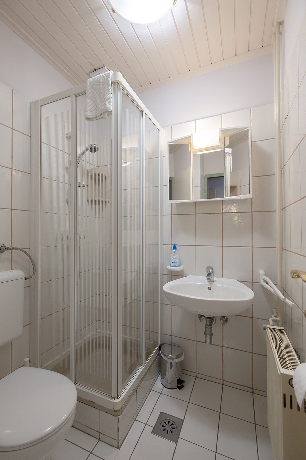 Ett badrum med en dusch som är avskärmad med glasväggar, ett handfat och en toalett.