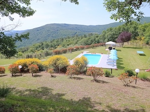 Una piscina al aire libre de temporada, sombrillas, tumbonas