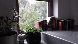 Interior - Books&Bikes (Buia)