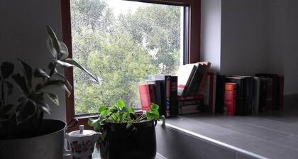 Books&Bikes