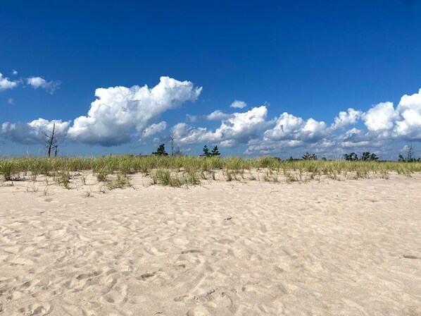 Playa en los alrededores 