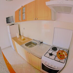Fridge, oven, stovetop, electric kettle