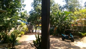 A garden with a dirt path, a blue scooter, and various green plants. - Umesh Home Stay (Dambulla)