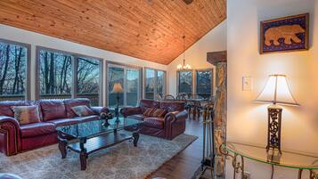 TV, fireplace, DVD player, music library