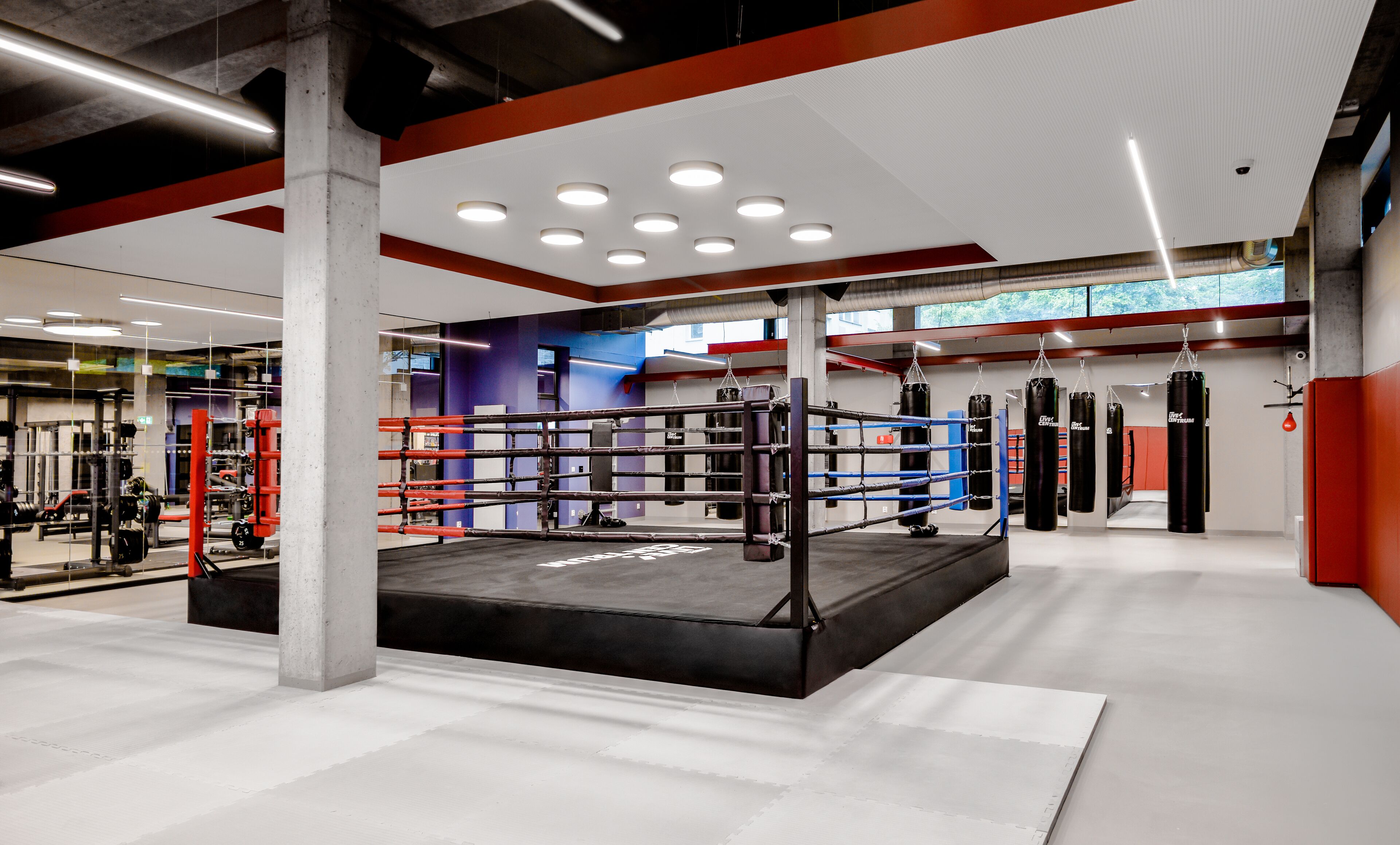 Et moderne fitnesscenter med boksering, styrketræningsudstyr og et stort spejl.